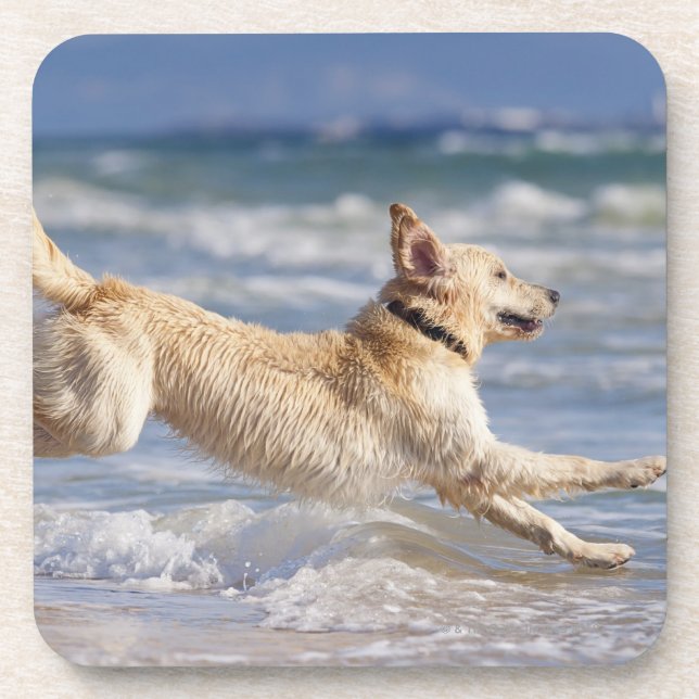 Tarifa, Cadiz, Andalusien, Spanien Getränkeuntersetzer (Vorderseite)