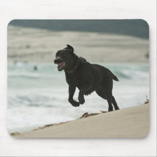 Tarifa, Cadiz, Andalusien, Spanien Mousepad