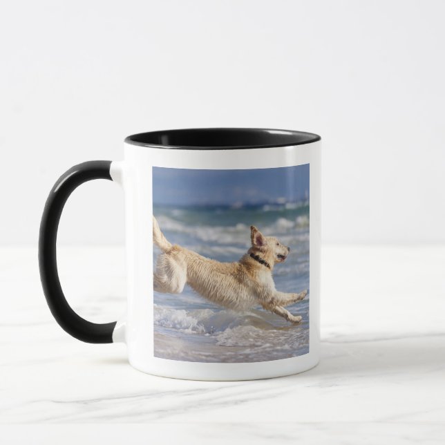 Tarifa, Cadiz, Andalusien, Spanien Tasse (Links)