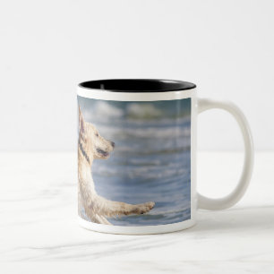 Tarifa, Cadiz, Andalusien, Spanien Zweifarbige Tasse