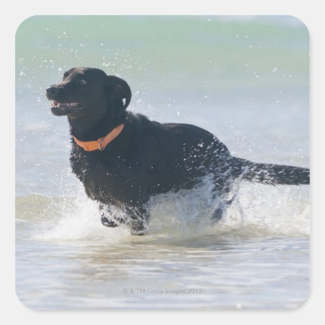 Tarifa, Cadiz, Spanien Quadratischer Aufkleber (Vorderseite)