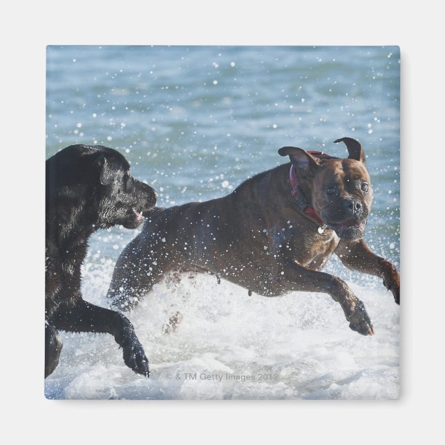 Tarifa spain magnet (Vorne)