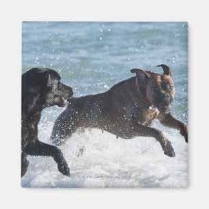 Tarifa Spanien Magnet