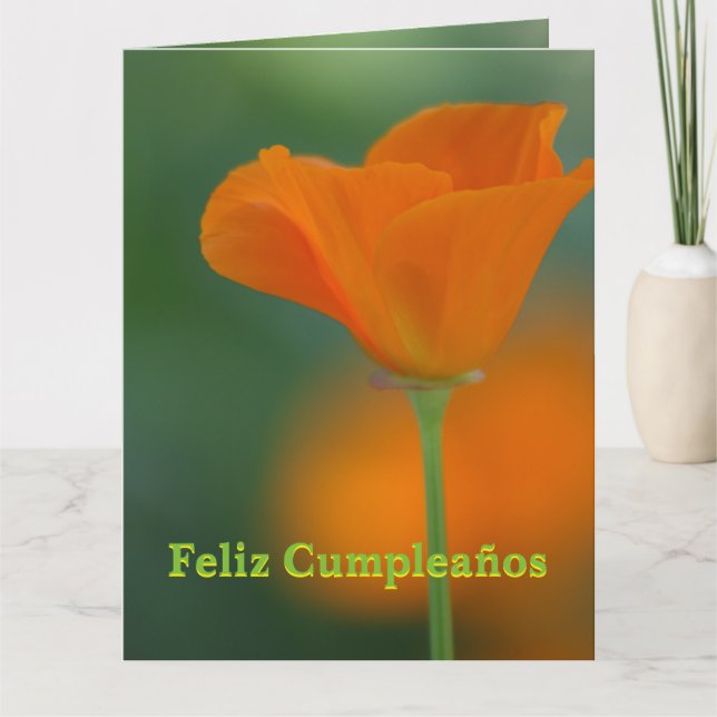 Tarjeta - Feliz Cumpleaños Todas Luxen-Farbe Karte (Vorderseite)