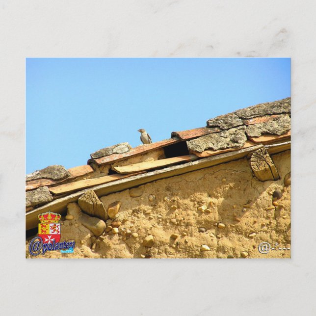 Tarjeta posta postkarte (Vorderseite)