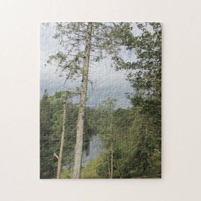 Tarn Hows Arbres Jigsaw Puzzle Puzzle (Vertical)