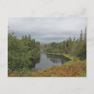 Tarn Hows - Carte postale Lake District