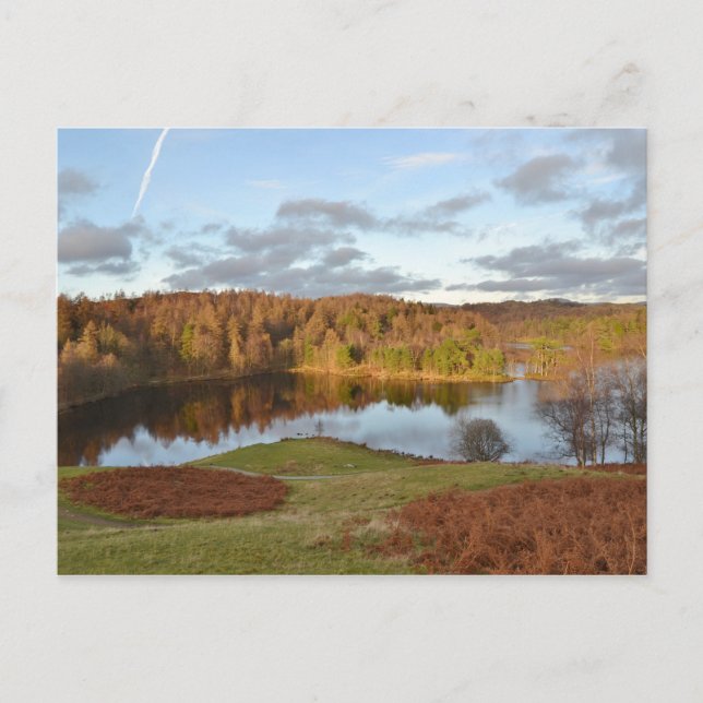 Tarn Hows - English Lake District Postkarte (Vorderseite)