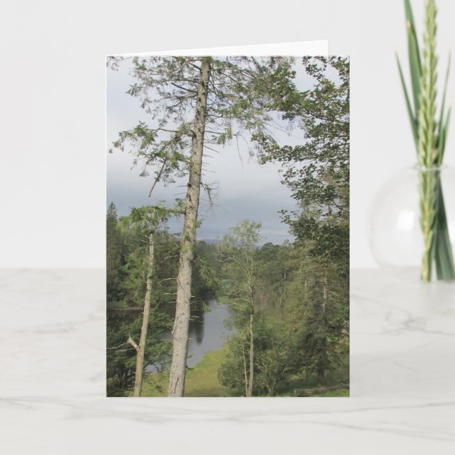 Tarn Hows Trees Karte (Vorderseite)