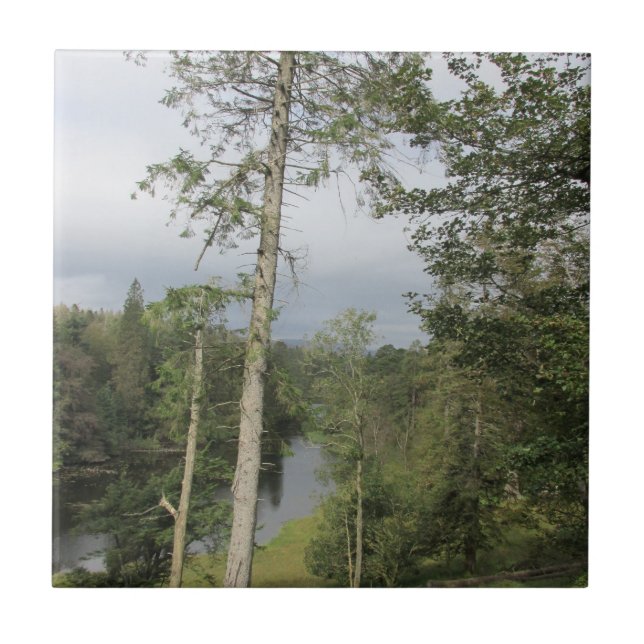 Tarn Hows Trees Keramik Tile Fliese (Vorderseite)