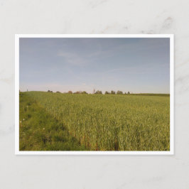 Tarnowskie Góry (Polen) Postkarte
