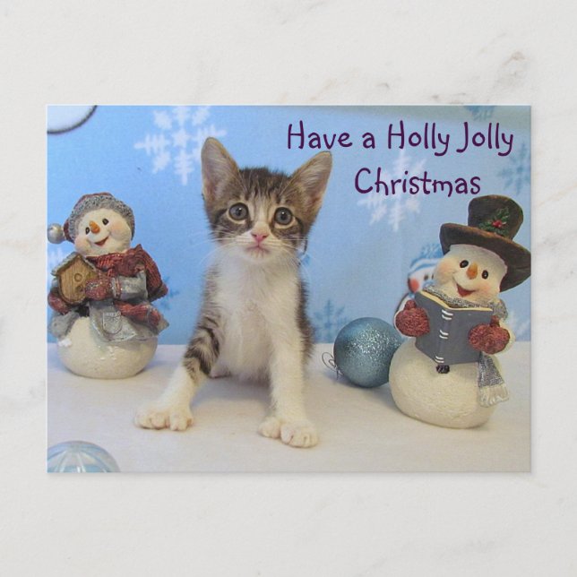 Taromina's Holly Jolly Weihnachten — Katze / Kitte (Vorderseite)