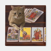 Tarot Cat