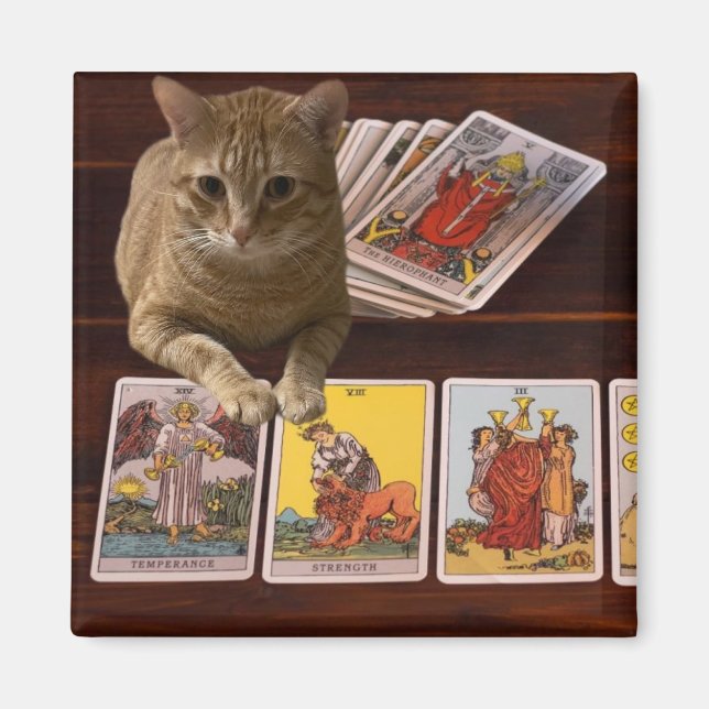 Tarot Cat Magnet (Vorne)