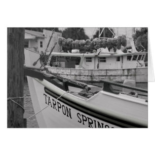 Tarpon