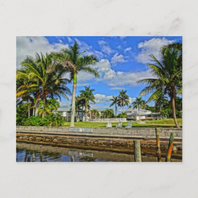 Tarpon Lodge - Pineland, Florida Postcard Postkarte (Vorderseite)