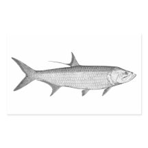 Tarpon-Logo (Linie Art)