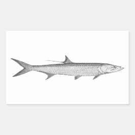 Tarpon-Logo (Linie Art) Rechteckiger Aufkleber