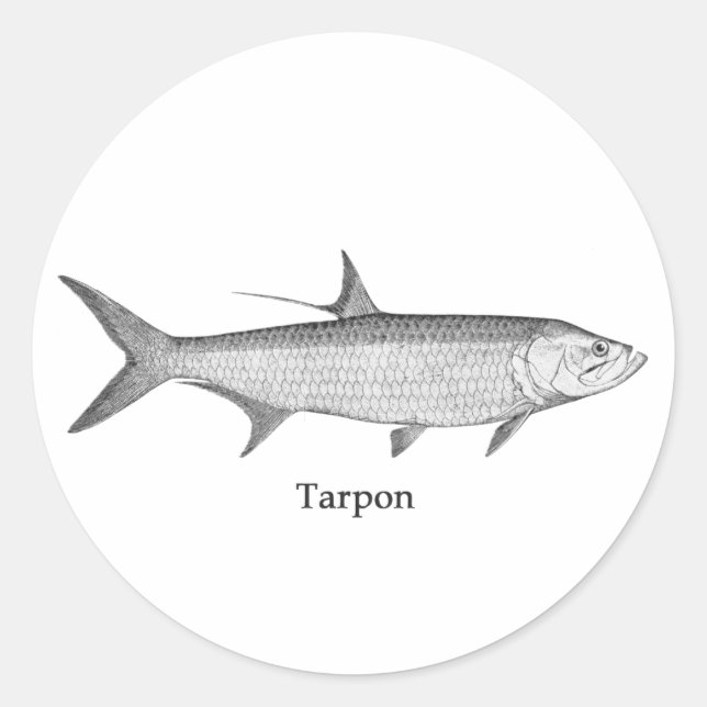 Tarpon-Logo (Linie Art) Runder Aufkleber (Vorderseite)