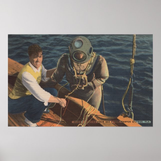 Tarpon Springs, FL - View of Diver Ascending Boa Poster (Vorne)