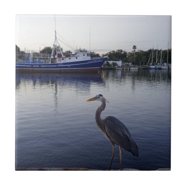 Tarpon Springs Fliese (Vorderseite)