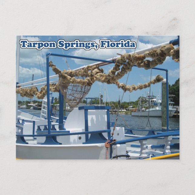 Tarpon Springs Schwammboot Postkarte (Vorderseite)