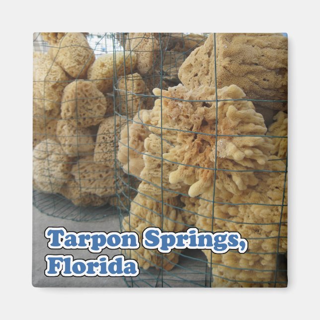 Tarpon Springs Sponges Magnet (Vorne)