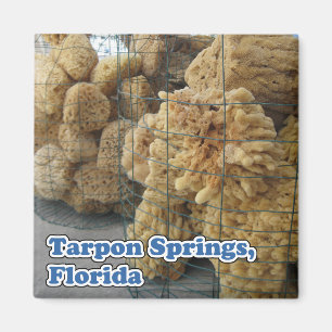 Tarpon Springs wäscht Magneten ab Magnet
