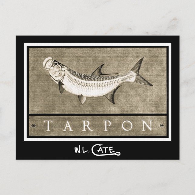 Tarpon Vintag Black & White Postkarten (Vorderseite)