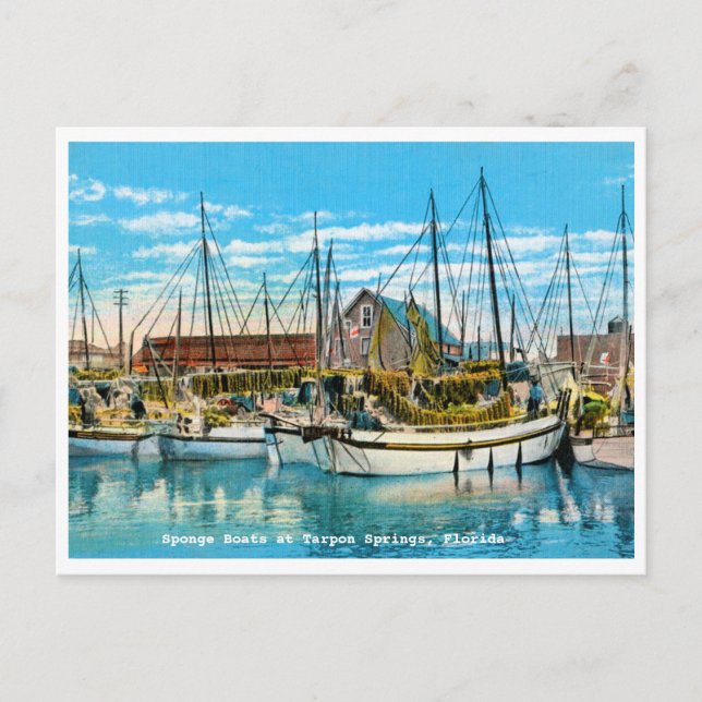 Tarponfedern, Florida Schwammboote Vintag Postkarte (Vorderseite)
