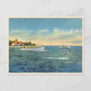 Tarpunfischen in Florida vintage Postkarte