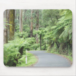 Tarra Bulga Nationalpark, Strzelecki Strecken Mousepad