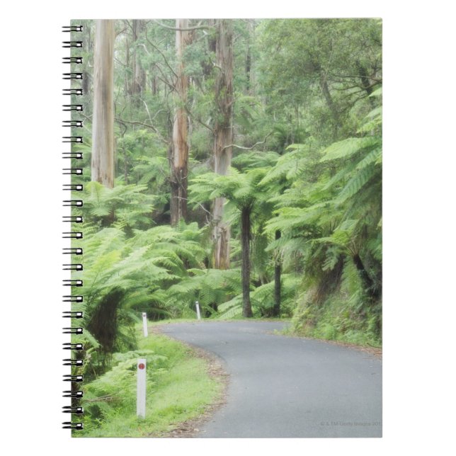 Tarra Bulga Nationalpark, Strzelecki Strecken Notizblock (Vorderseite)