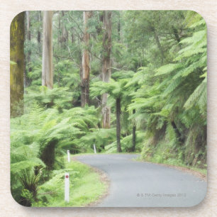 Tarra Bulga Nationalpark, Strzelecki Strecken Untersetzer