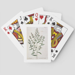 Tarragon, Platte 116 von 'A Curious Herbal', öffen Spielkarten