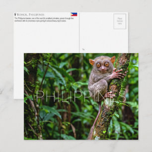 Tarsier à Bohol, Philippines Carte postale de voya