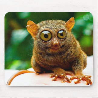 tarsier mousepad