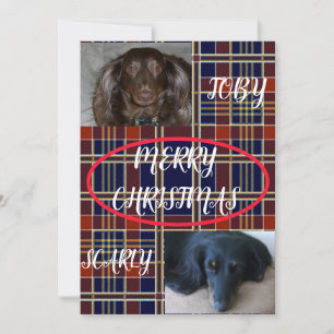 Tartan Frohe Weihnachten Haustier-Duo-Kariert