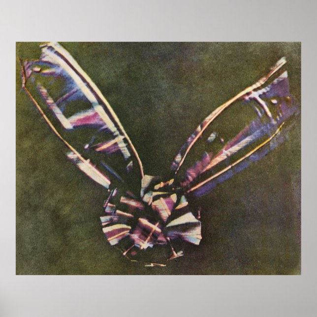 Tartan Ribbon erste bekannte Farbfotografie Poster (Vorne)