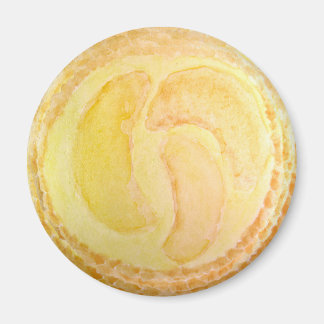 Tarte aux pêches réaliste aquarelle aimant