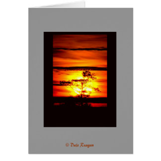 T'as de la lumière ?