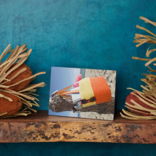 Tasche am Sandy Beach auf Baumstamm Fotoplatte