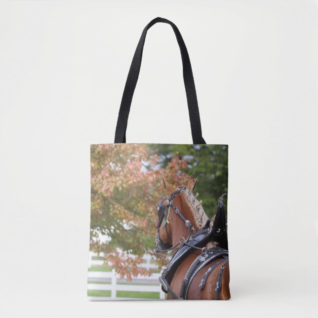 Tasche des belgischen Pferdeentwurfs (Vorderseite)