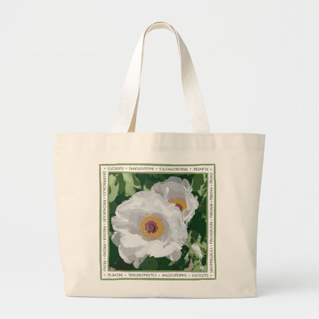 Tasche des hellen weißen Pénées (Vorne)