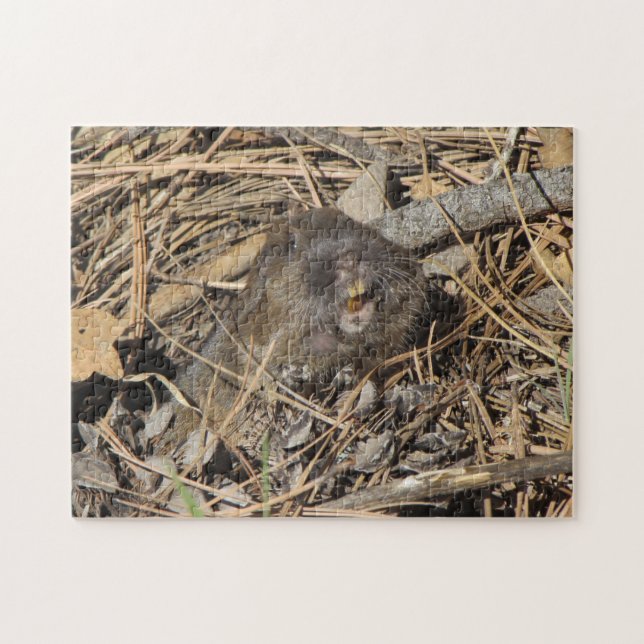 Taschen-Gopher (Horizontal)