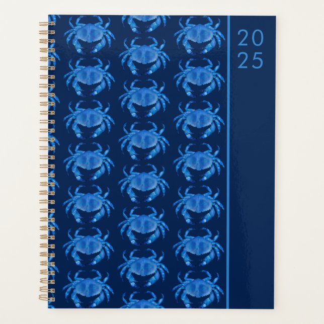 Taschenkrebse 2024 planer (Vorderseite)