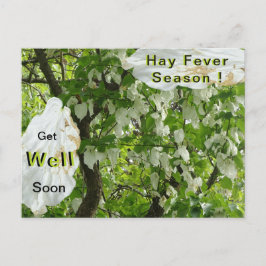 Taschentuch Tree Hay Fever Season Postcard Postkarte