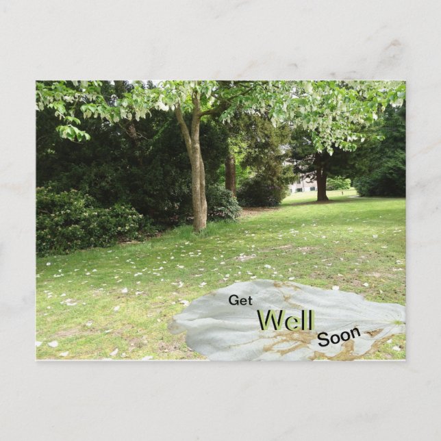 Taschentuchbaum Gute Besserung Postkarte (Vorderseite)