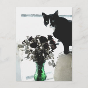 Tasha, die Tuxedo-Katze Postkarte