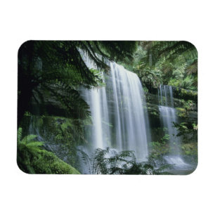 Tasmania, Mt. Field Nationalpark, Russell Falls Magnet